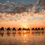 Cable beach