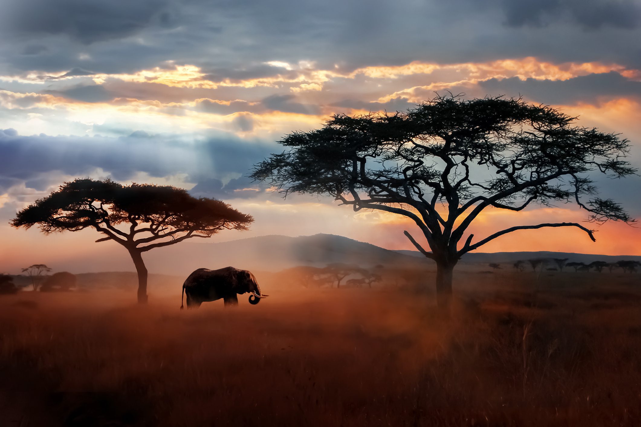 Východní Afrika